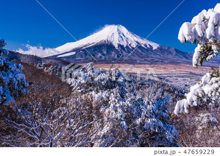 (山梨県)雪化粧した二十曲峠から望む富士山 (山梨県)雪化粧した二十曲峠から望む富士山 47659229
