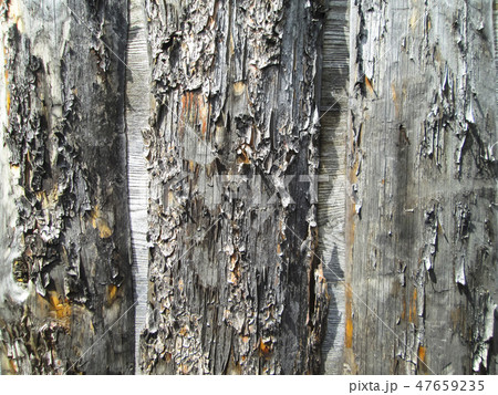 Wooden background Wooden background 47659235