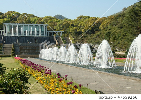 チューリップの咲く初夏の神戸・須磨離宮公園 47659266