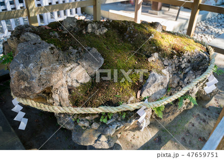 武田神社のさざれ石　「亀石」 47659751