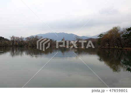 三島池.1（滋賀県米原市池下） 47659801