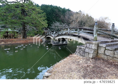 三島池.22（滋賀県米原市池下） 47659825
