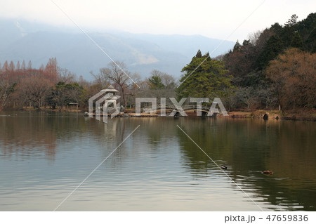 三島池.34(滋賀県米原市池下) 三島池.34(滋賀県米原市池下) 47659836