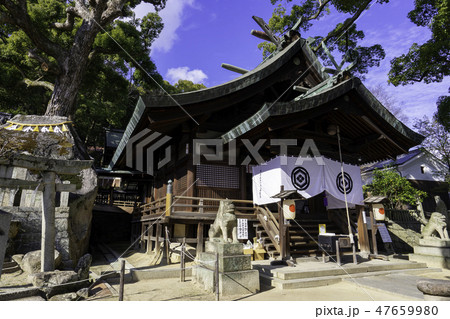 尾道　古寺めぐり　艮神社　拝殿 47659980