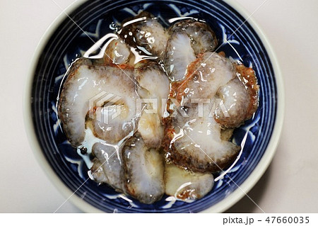 酢ナマコ 阿久根市 鹿児島県 酢ナマコ 阿久根市 鹿児島県 47660035