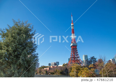 東京タワー 47661210