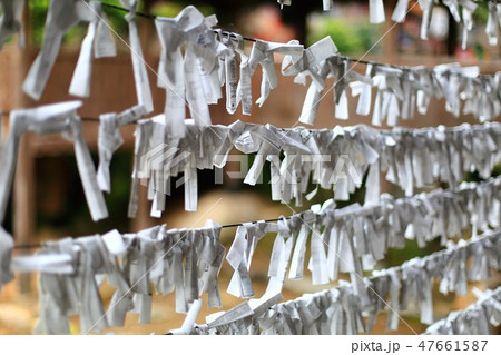 おみくじ・202(谷汲山華厳寺) おみくじ・202(谷汲山華厳寺) 47661587