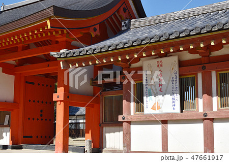 八幡御神矢 47661917