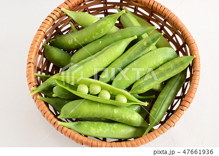 うすいえんどう うすいえんどう 47661936