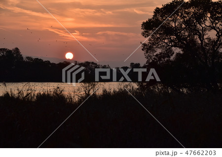 湖北夕景 湖北夕景 47662203