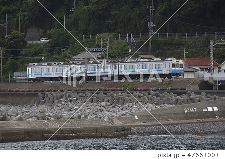 海岸沿いを行く、伊豆急行8000系電車 47663003