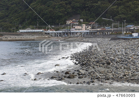 海岸沿いを行く、伊豆急行8000系電車 海岸沿いを行く、伊豆急行8000系電車 47663005