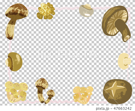秋野菜（きのこ）フレーム Autumn vegetables (mushroom)  frame 47663242