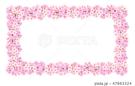 桜 フレーム 横長のイラスト素材