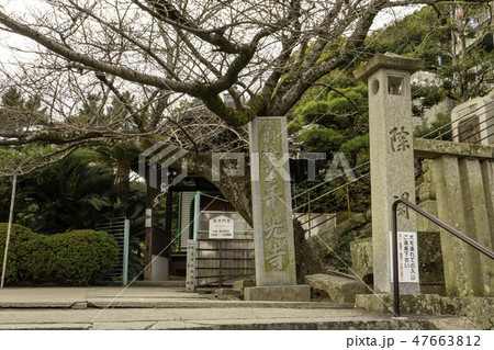 尾道 古寺めぐり 千光寺 毘沙門堂と山門 尾道 古寺めぐり 千光寺 毘沙門堂と山門 47663812