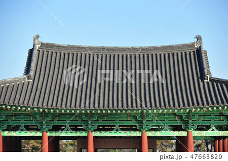 屋根 モノラル 精子 47663829