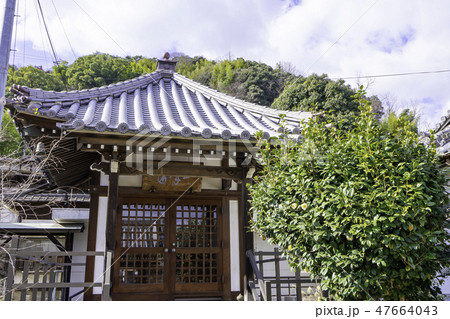尾道　古寺めぐり　善勝寺　常明堂 47664043