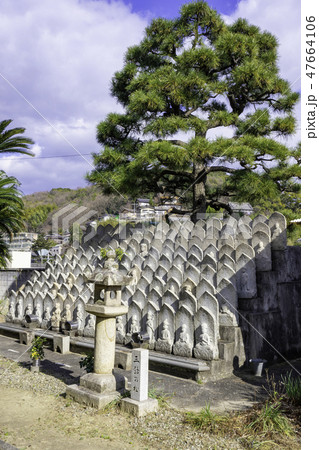 尾道 古寺めぐり 善勝寺 四国八十八ヶ所御砂踏霊場と三鈷の松 尾道 古寺めぐり 善勝寺 四国八十八ヶ所御砂踏霊場と三鈷の松 47664106