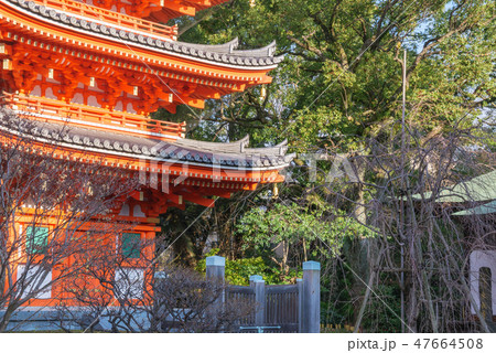 東長寺 五重塔 東長寺 五重塔 47664508
