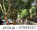インド　ムンバイの街並み 47664537