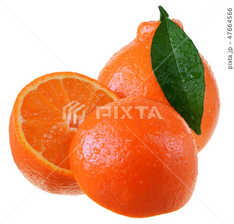 Cut tangerine citrus with leaves isolated 47664566