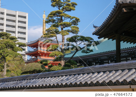 東長寺 五重塔 東長寺 五重塔 47664572