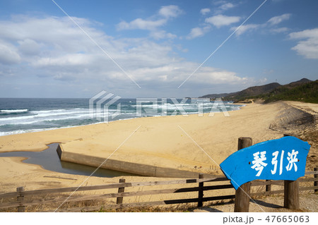 京丹後　網野町　琴引浜 47665063