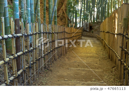 ひよどり坂 佐倉市 ひよどり坂 佐倉市 47665113