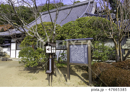 尾道　古寺めぐり　大山寺　本堂 47665385