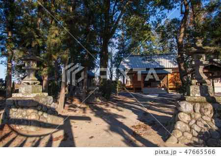 井椋神社　境内　埼玉県　川本町　 47665566