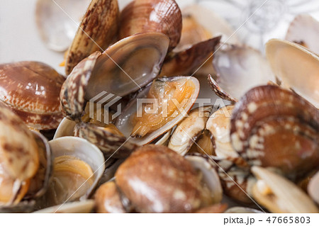 大量のあさりの中の一粒 47665803