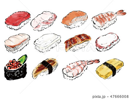 寿司 寿司ネタ 手書き 手描き ベクターのイラスト素材 47666008 Pixta