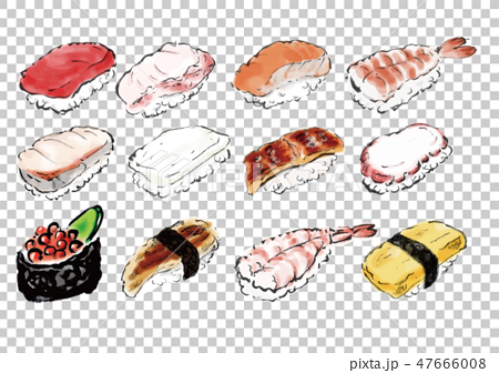 寿司 寿司ネタ 手書き 手描き ベクターのイラスト素材