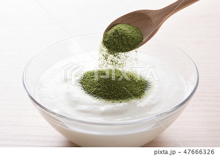 青汁ヨーグルト 青汁ヨーグルト 47666326