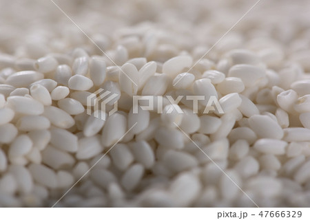 糯米のクローズアップ 47666329