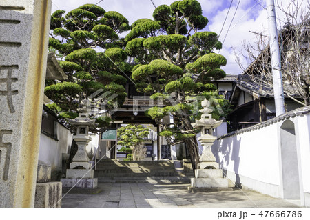 尾道 古寺めぐり 天寧寺 参道 石段 尾道 古寺めぐり 天寧寺 参道 石段 47666786