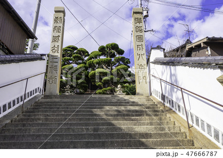 尾道　古寺めぐり　天寧寺　参道　石段 47666787