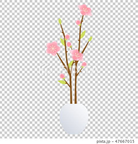桃の花2のイラスト素材