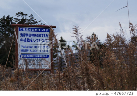 防潮堤 防潮堤 47667723