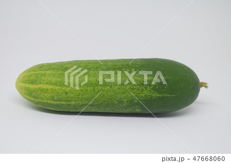 fresh cucumber on white background fresh cucumber on white background 47668060