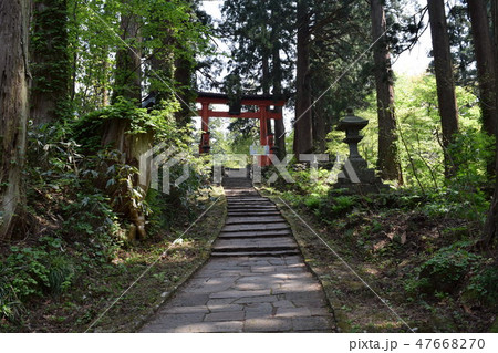 羽黒山の石段 2446段は神社で日本一 羽黒山の石段 2446段は神社で日本一 47668270