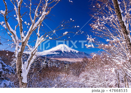 （山梨県）雪化粧した二十曲峠から望む富士山 47668535