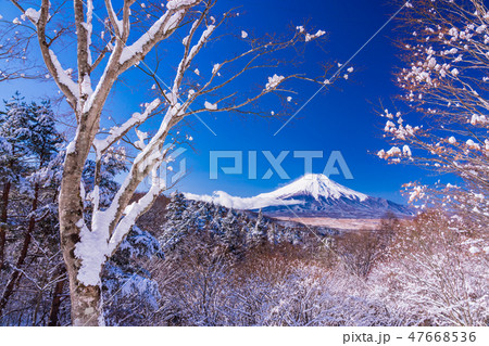 （山梨県）雪化粧した二十曲峠から望む富士山 47668536