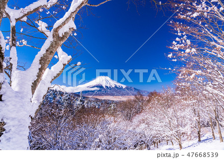 （山梨県）雪化粧した二十曲峠から望む富士山 47668539