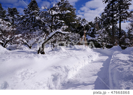 雪景色の兼六園 雪景色の兼六園 47668868