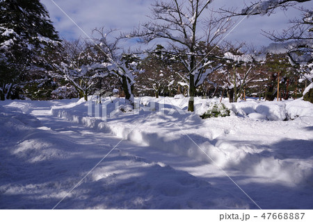 雪景色の兼六園 雪景色の兼六園 47668887