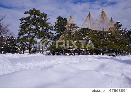 雪景色の兼六園 雪景色の兼六園 47668894
