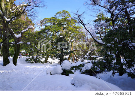 雪景色の兼六園 雪景色の兼六園 47668911