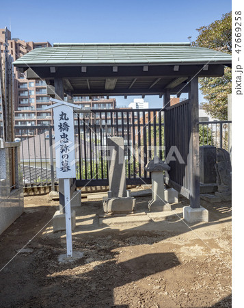 目白不動 神霊山金乗院慈眼寺 目白不動 神霊山金乗院慈眼寺 47669258