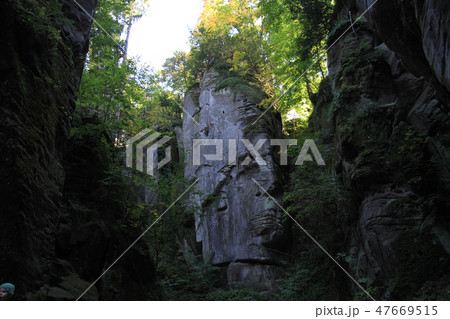 rocks in the forest 47669515